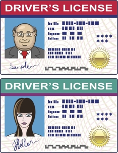 Driver's Licenses